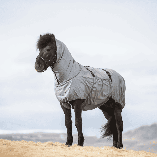 Topreiter eczeemdeken