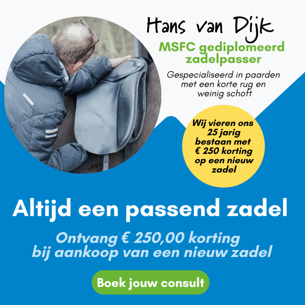 25 jaar IJslandse paarden