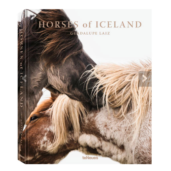 Horses of Iceland