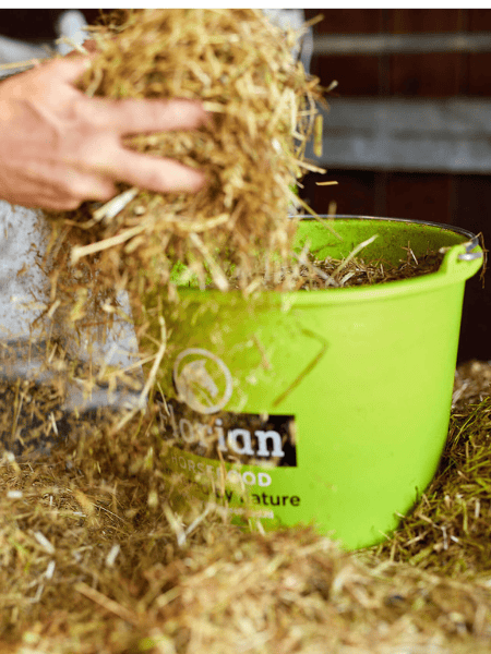 Zo helpt voeding bij de aanpak van zomereceem