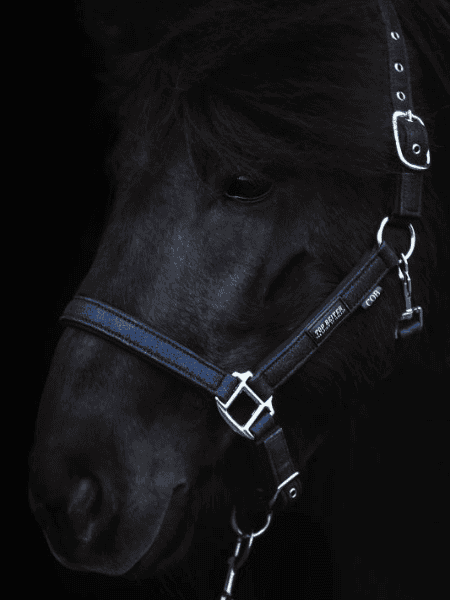 topreiter-halter-glitrandi-blue Topreiter halster Glitandi blauw