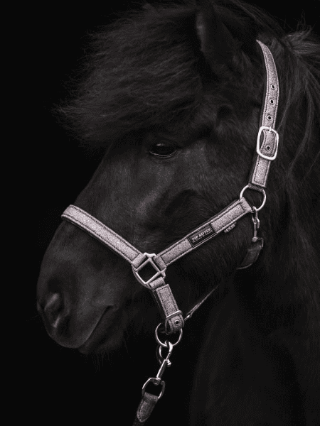 topreiter-halter-glitrandi-pink_800x800 Topreiter Halster glitrandi roze