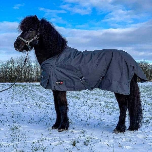 Eques regendeken ijslander Eques regendeken ijslander