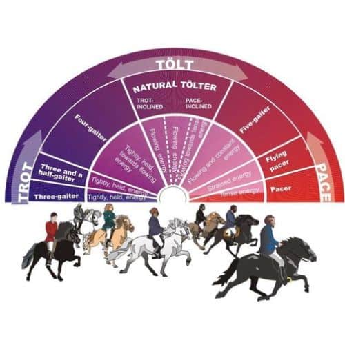 Alles over IJslanders (2) Alles over IJslanders