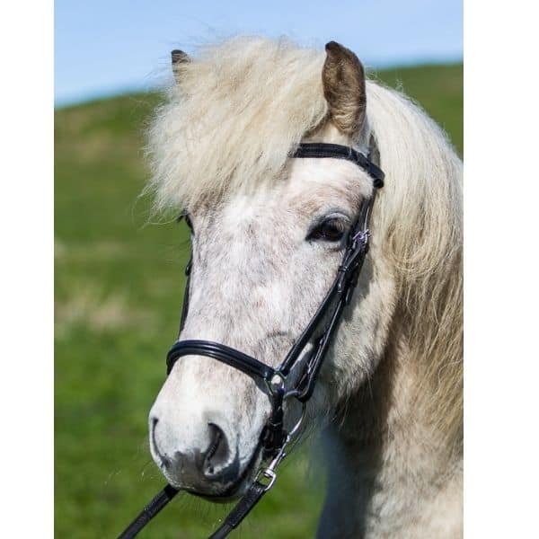 Eques Frontriem zwart gevlochten