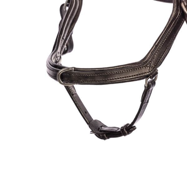 EQUES Start Up Hoofdstel 2 EQUES Start Up Hoofdstel