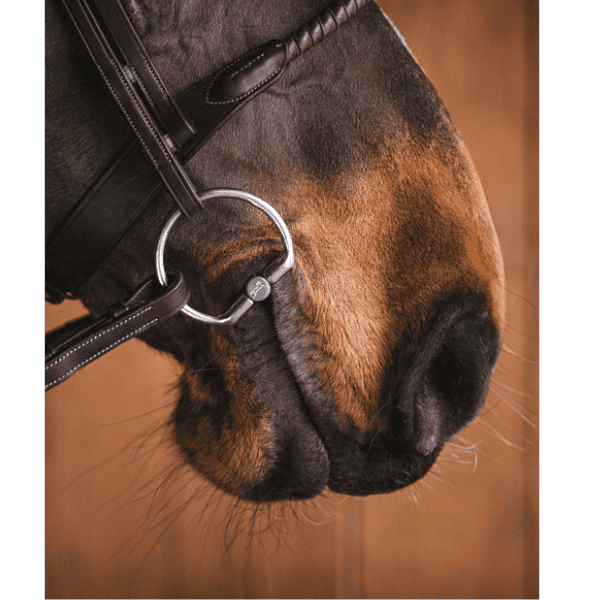 Fager Emil Titanium bustrens Fager Emil Titanium bustrens