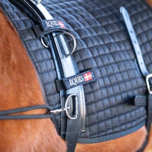 Eques longeersysteem 3 Eques longeersysteem