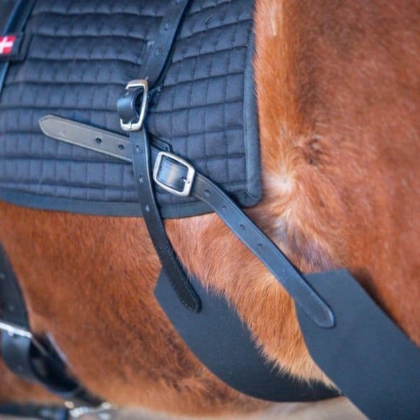 Eques longeersysteem 2 Eques longeersysteem