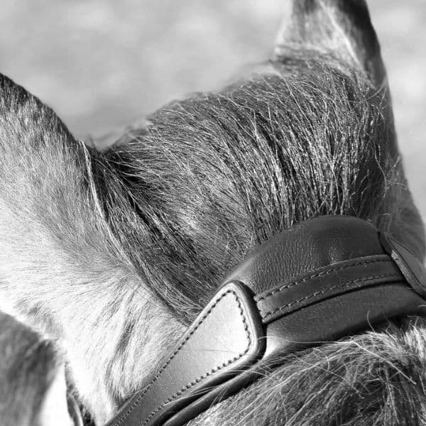 Eques Flexibel kopstuk (3) Eques Flexibel kopstuk