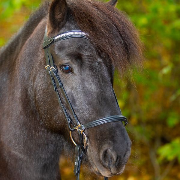 Eques V frontriem witte kristallen (3) Eques V frontriem witte kristallen