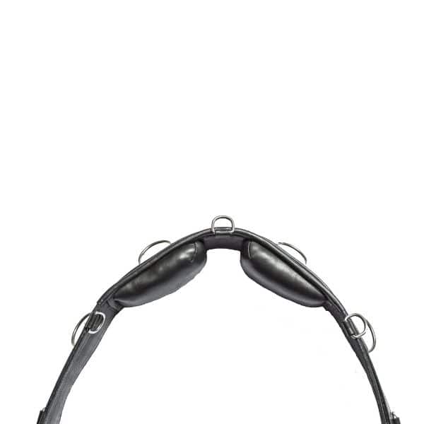 Eques longeersingel 2 Eques longeersingel