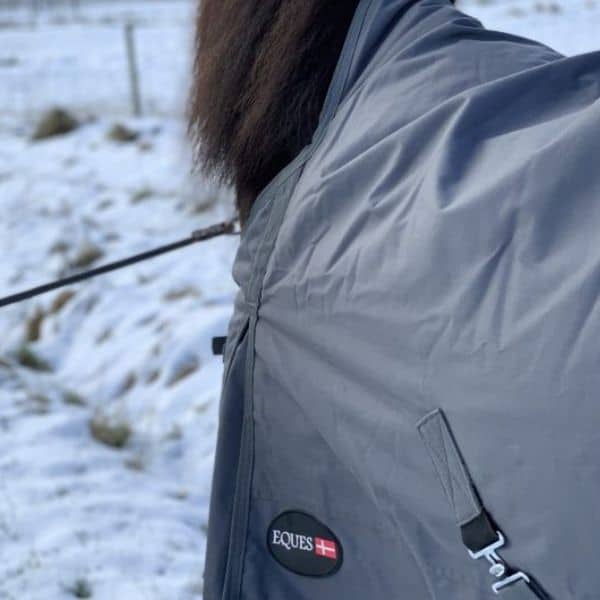 Eques regendeken 2 Eques regendeken