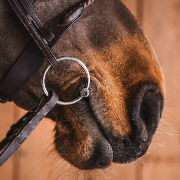 Fager Kevin RVS dubbel gebroken watertrens Fager Kevin RVS dubbel gebroken watertrens