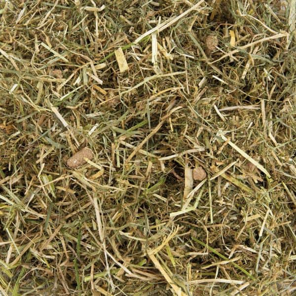 Florian Basic Growth (2) Florian Basic Growth