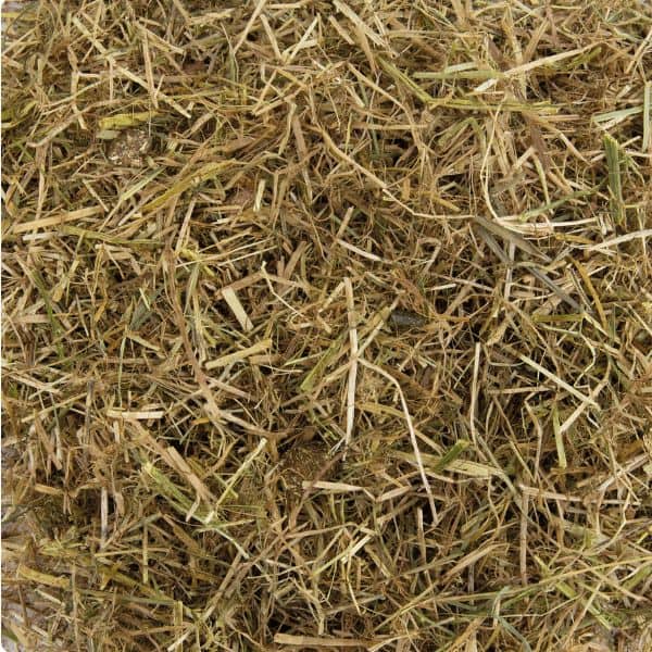 Florian Basic Pure (3) Florian Basic Pure