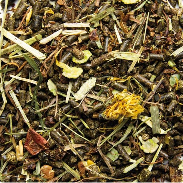 Florian Care Fit (2)