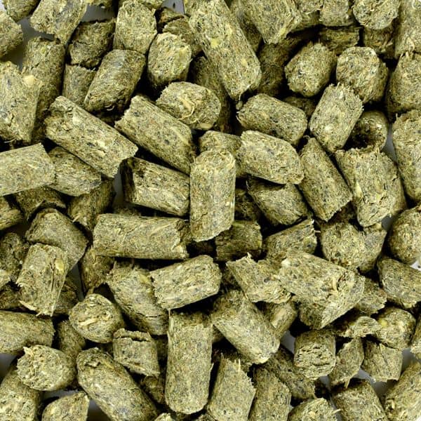 Florian Easy Impact (4) Florian Easy Impact