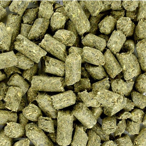 Florian High Impact (5) Florian High Impact