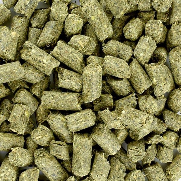 Florian Oerbrok Icelandic Impact Florian Oerbrok Icelandic Impact