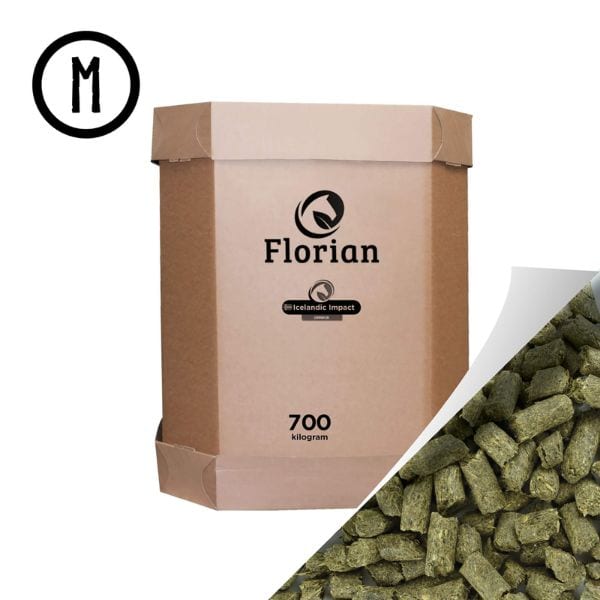 Florian Oerbrok Icelandic Impact Florian Oerbrok Icelandic Impact