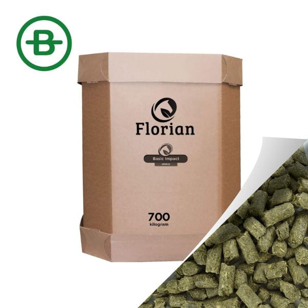 Florian Oerbrok Basic Impact (2) Florian Oerbrok Basic Impact