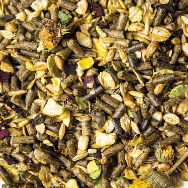 Florian Power Fit (3) Florian Power Fit