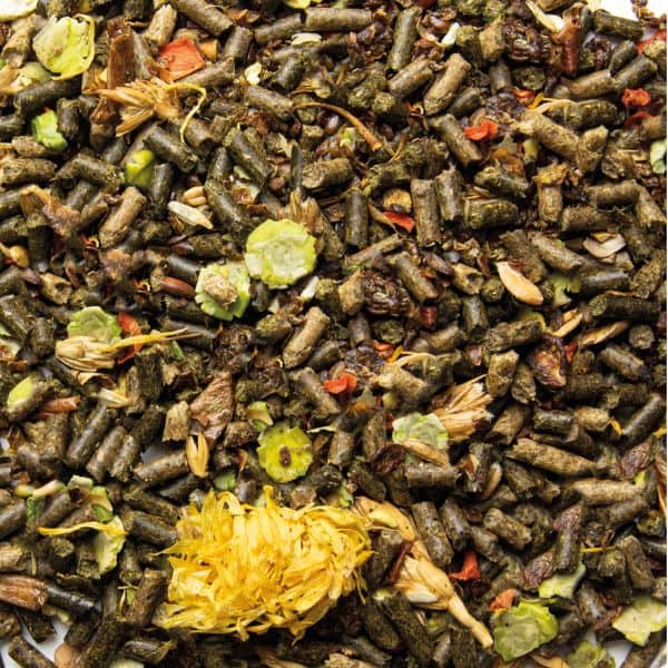 Florian Slow Fit (3) Florian Slow Fit