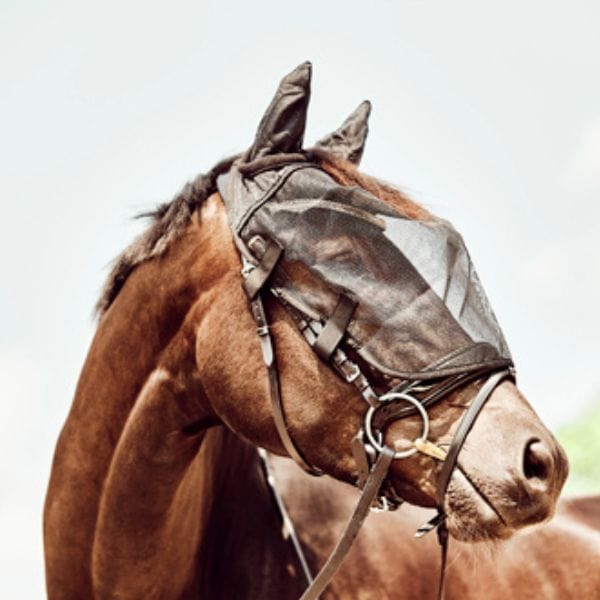 HG Fly Free Deal (3) HG Hoofdstel vliegenmasker