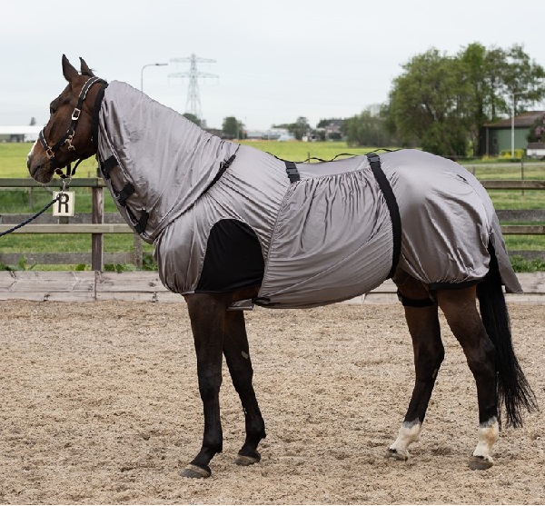 Harry's Horse eczeemdeken Harry's Horse eczeemdeken