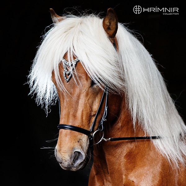 Hrimnir hoofdstel G Hrimnir hoofdstel G