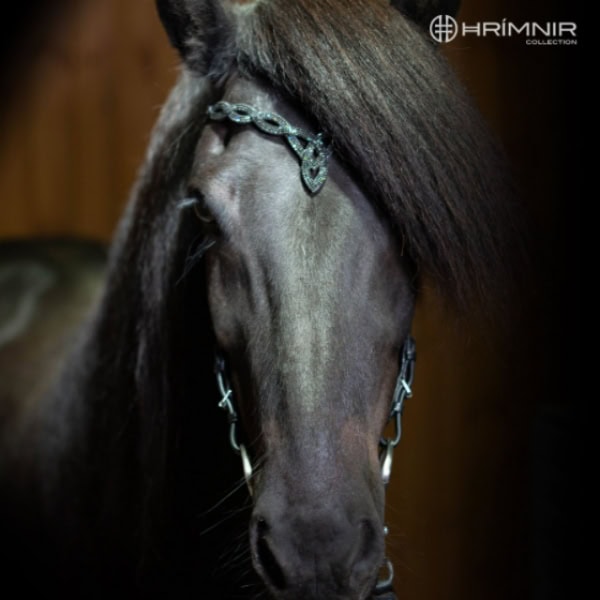 Hrimnir kopstuk Heritage H-Lava Hrimnir kopstuk Heritage H-Lava