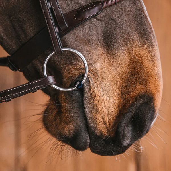 Fager Bianca titanium watertrens Fager Bianca titanium watertrens