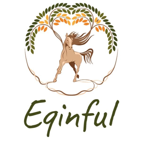 Eqinful online meeting