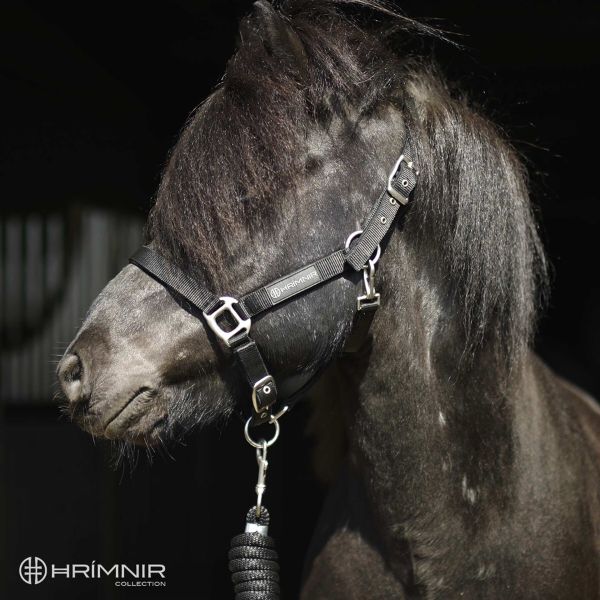 Hrimnir halsterset Hrimnir halsterset