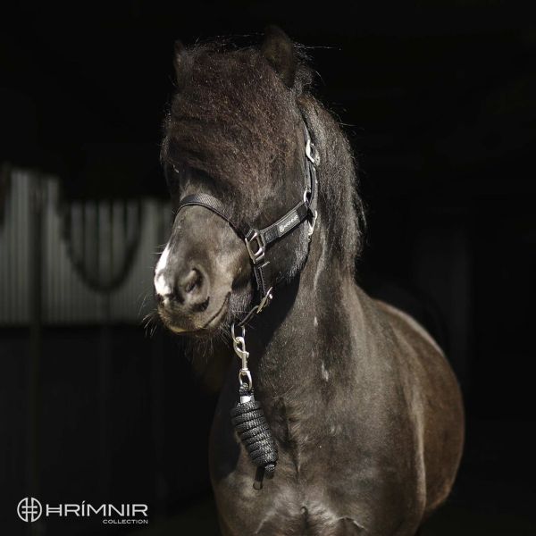 Hrimnir halsterset Hrimnir halsterset