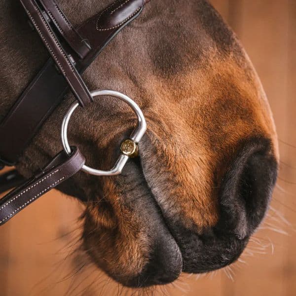 Fager Axel Sweet Gold bustrens Fager Axel Sweet Gold bustrens