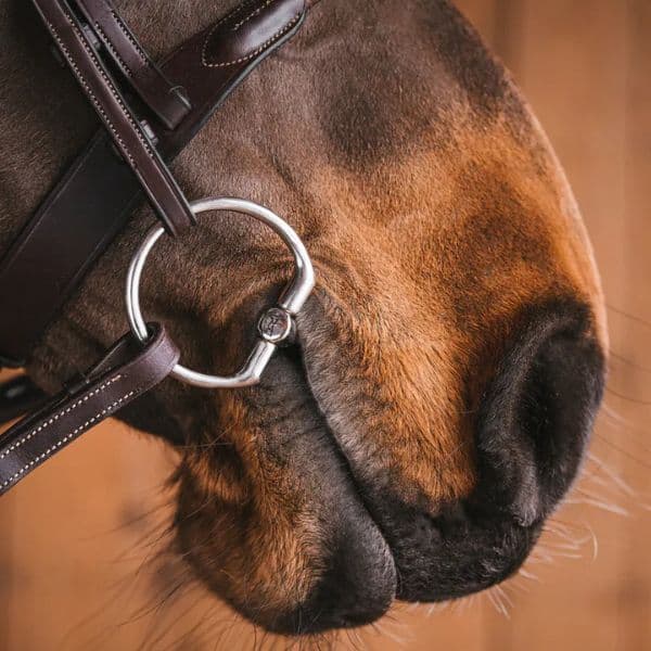 Fager Alexander sweet iron bustrens Fager Alexander sweet iron bustrens