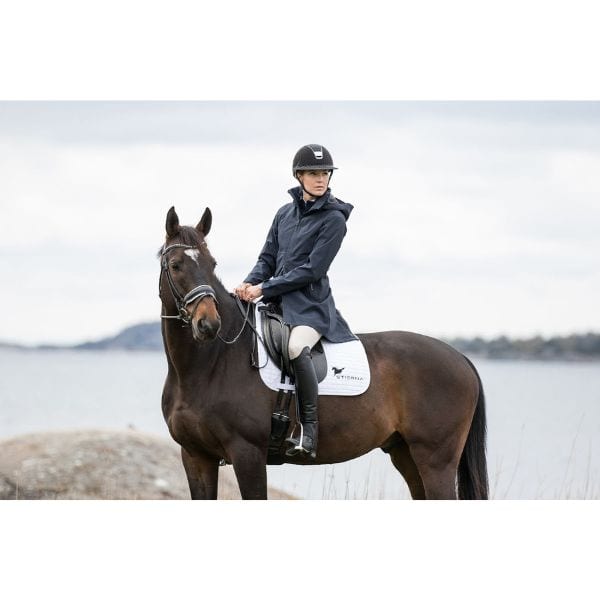 Stierna Storm regenjas Stierna Storm regenjas