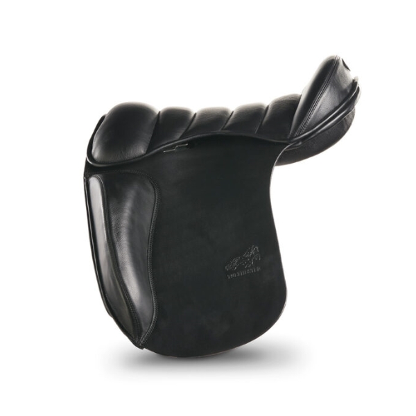 Tölthester Tönn boomloos IJslander zadel Tölthester Tönn boomloos IJslander zadel