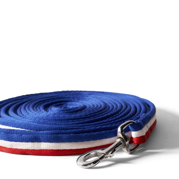 Tölthester longeerlijn IJslandse kleuren Tölthester longeerlijn IJslandse kleuren