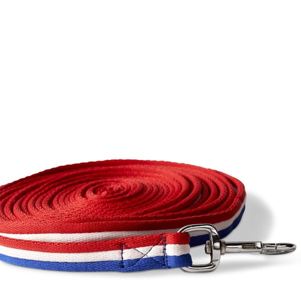 Tölthester longeerlijn IJslandse kleuren NK 2022 aanbieding 2 Isknapar - Tolthester