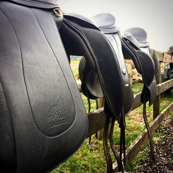 Zadels voor paarden met een korte rug
