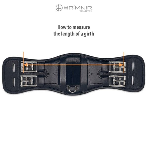 Hrimnir dressuursingel (2) Hrimnir dressuursingel