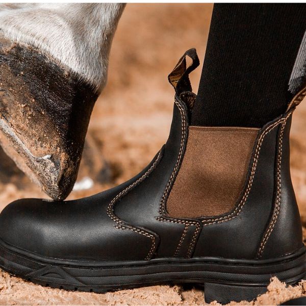 Mountain Horse protective jodphurs (6) Mountain Horse protective jodphurs