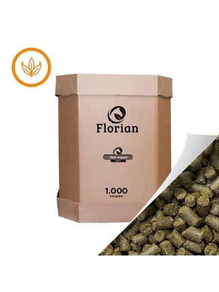 Florian Oerbrok Fiber Impact (3) Florian Oerbrok Fiber Impact