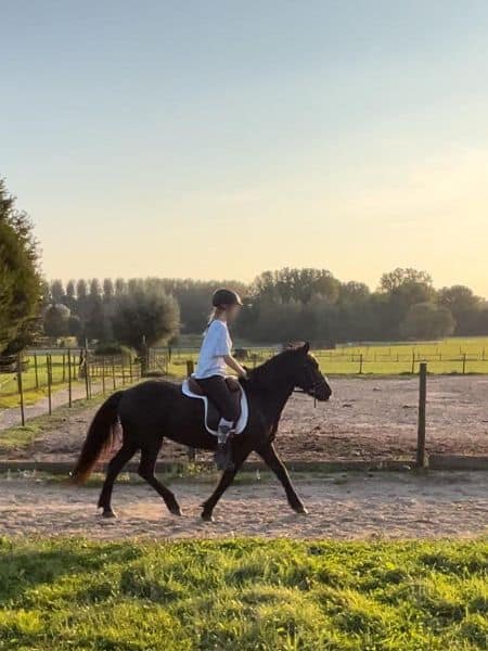 Vaka fra Stekkjarholi Vaka fra Stekkjarholi