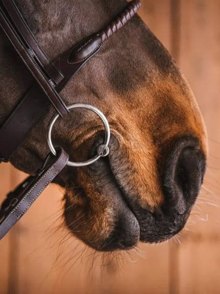 Fager Conny Sweet Iron DG bit (6) Fager Conny Sweet Iron DG bit