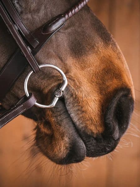 Fager Dylan Sweet Iron DG bit (6) Fager Dylan Sweet Iron DG bit