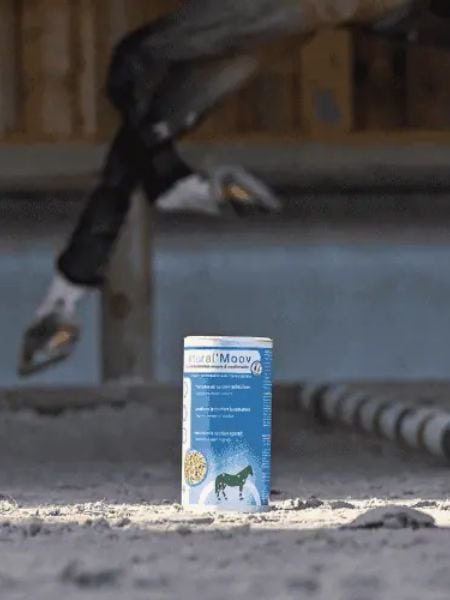 Horsup Natural Moov (4) Horsup Natural Moov